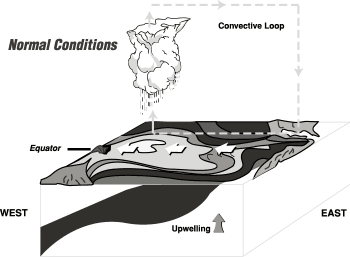 Nina Persson Net Worth: Contextual Data Missing